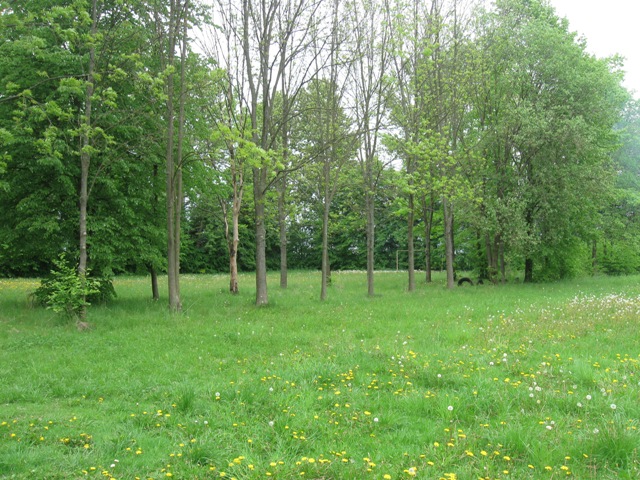 img_7475.jpg [640x480]