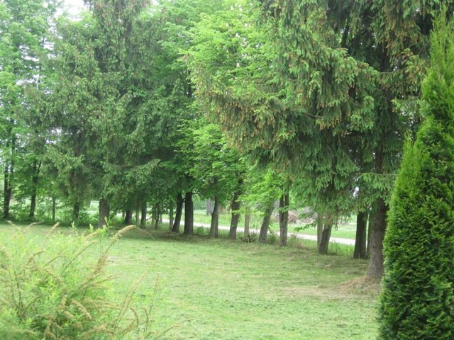 img_7486.jpg [640x480]