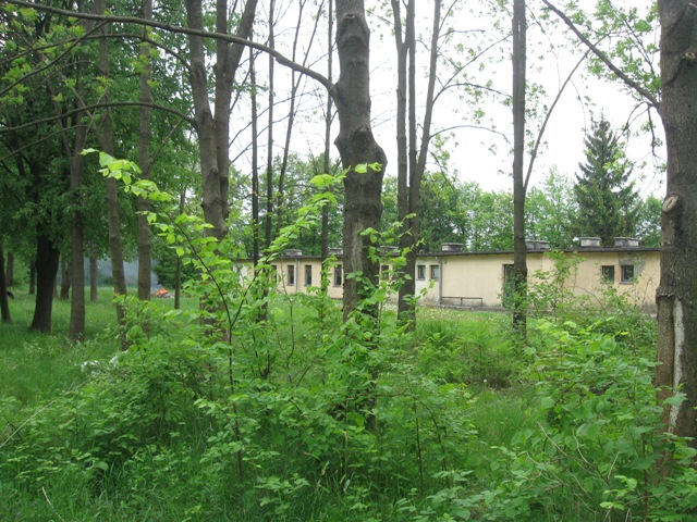 img_7498.jpg [640x480]