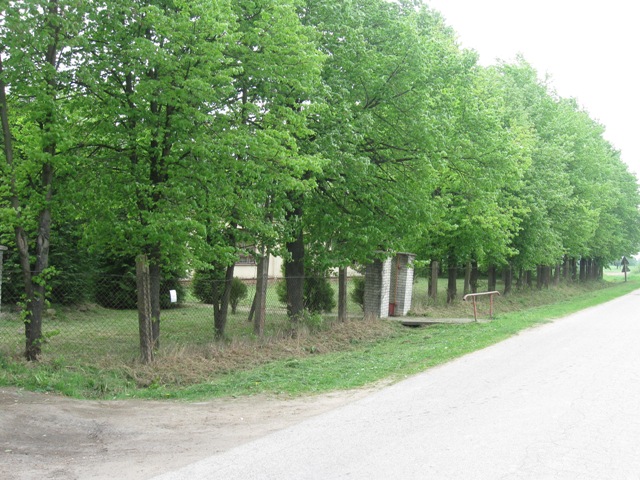 img_7506.jpg [640x480]