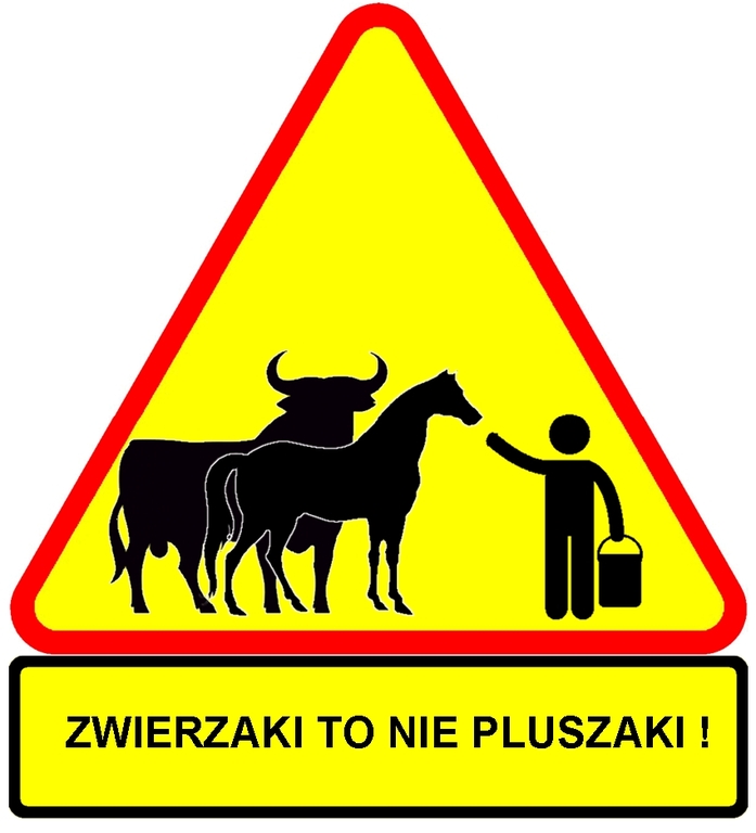 zwierzaki_to_nie_pluszaki.jpg zwierzaki_to_nie_pluszaki.jpg