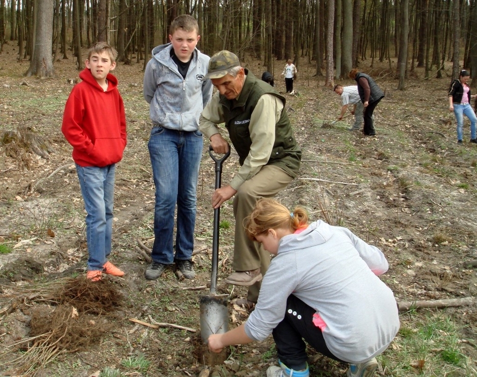 2013_04_27_sprzatanie_i_sadzenie_lasu_pniewy_0141.jpg