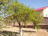 dscn3149.jpg