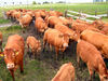 pict0092.jpg