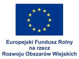 1_ue_nowe_duzea.jpg