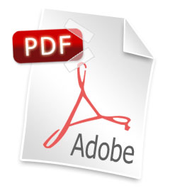 pdf_icon_logo.jpg
