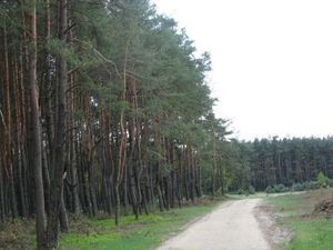 img_0219.jpg [300x225]