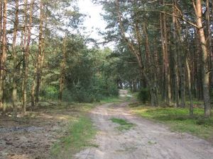 img_0229.jpg [300x225]