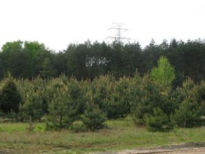 img_0230.jpg [300x225]