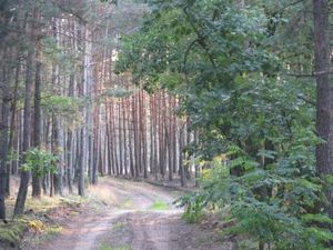 img_0712.jpg [300x225]