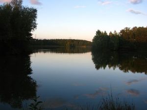 img_0717.jpg [300x225]