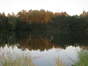 img_0720.jpg [300x225]