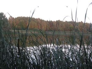 img_0725.jpg [300x225]