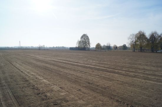 dsc02798.jpg dsc02798.jpg