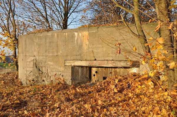 sciana_bunkra_z_plyta_strzelniczapopjpg [601x399]