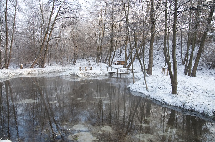 zrodliska_w_lanach_zimajpg [687x456]