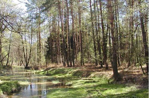 srodowisko_2 [499x330]