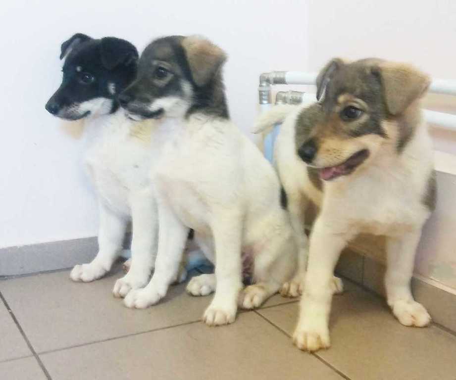 20170620_155031.jpg 20170620_155031.jpg