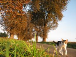 juliawalkowskaimg_0246m.jpg juliawalkowskaimg_0246m.jpg