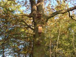 nataliajedrkowiakdsc01236m.jpg nataliajedrkowiakdsc01236m.jpg