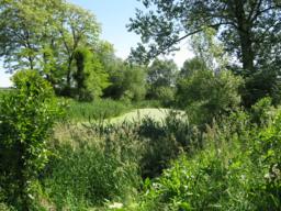 img_5827m.jpg img_5827m.jpg