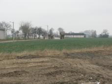 img_3901m.jpg img_3901m.jpg