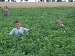 20ssa40174m.jpg 20ssa40174m.jpg