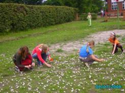 imgp0219m.jpg imgp0219m.jpg