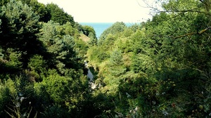 Wąwóz Chłapowski [300x168]