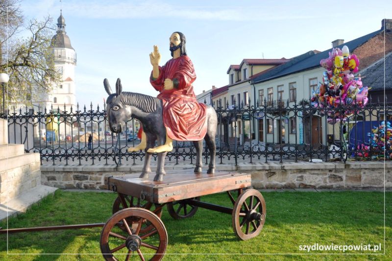 osiolek_palmowy_a_luzynska.jpg