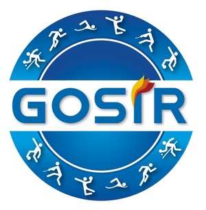 logogosir [300x305]
