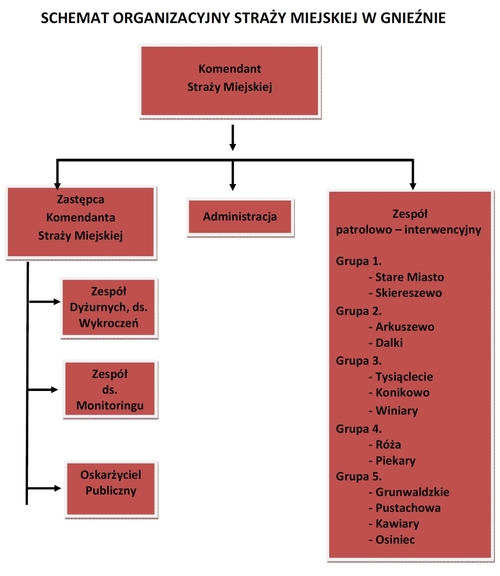 Schemat organizacyjny Straży Miejskiej w Gnieźnie
