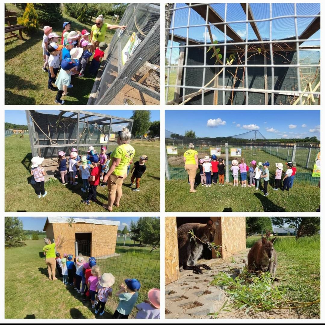 Dzieci z grupy "Motylki" w parku zoologicznym "Lappyland".