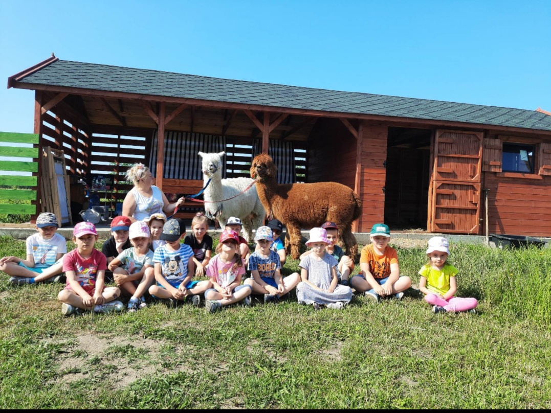 Dzieci z grupy "Biedronki" z Panią Iwoną Bogdanowicz - opiekunką alpak oraz alpakami.