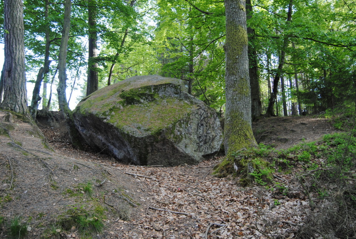 Diabelski Kamień w Odargowie