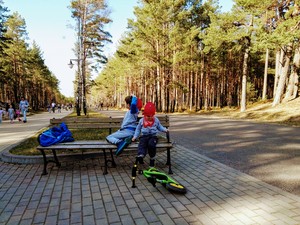 Deptak w kwietniowym słońcu [300x225]