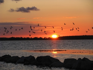 Zachód słońca na plaży w Lubkowie [300x225]