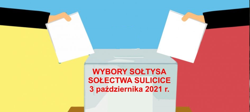 Wybory sołtysa