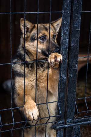 5jpg [300x450]