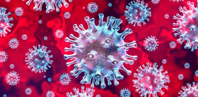 4464807koronawirus657323jpg [657x323]