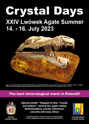 Crystal Days XXIV Lwówek Agate Summer 1416 July 2023 [300x419]