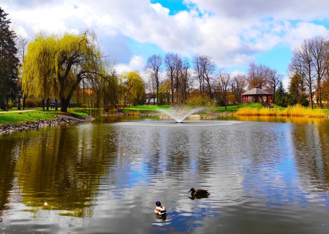 Wodotrysk w Parku Miejskim