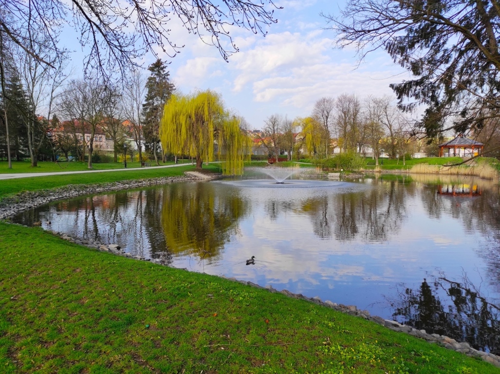Park Miejski fot. 1