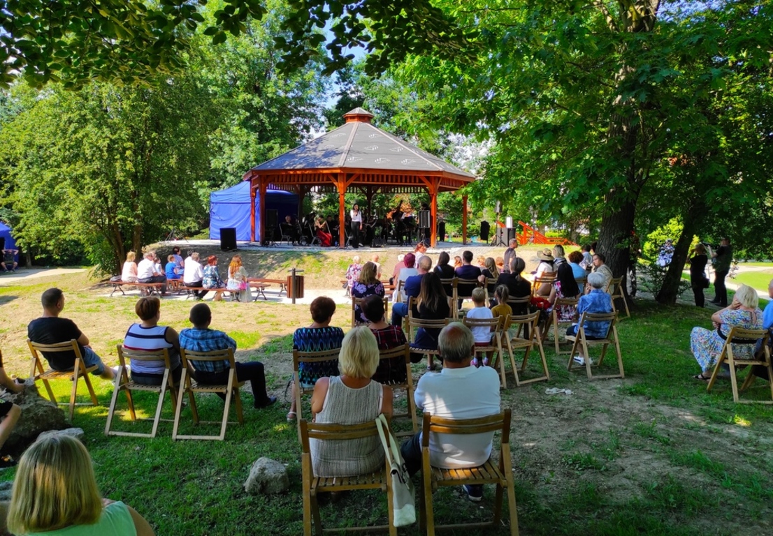 Koncert Filmowy w Parku Miejskim, fot. 1
