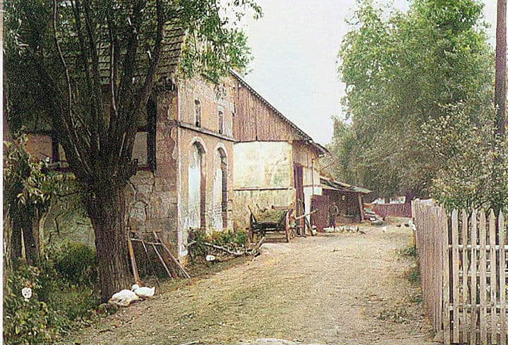 received_1485771111825830colorized.jpg received_1485771111825830colorized.jpg