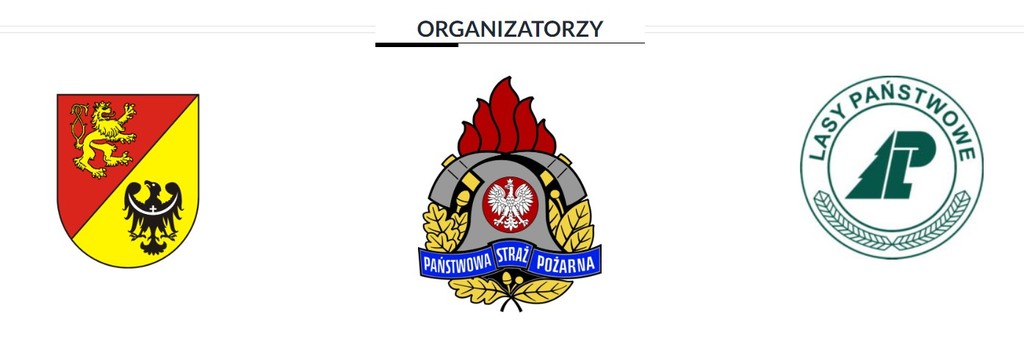 organizatorzy.jpg