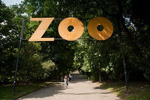 Zdjęcie przedstawia ścieżkę u góry z napisem ZOO.