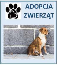 Adopcja