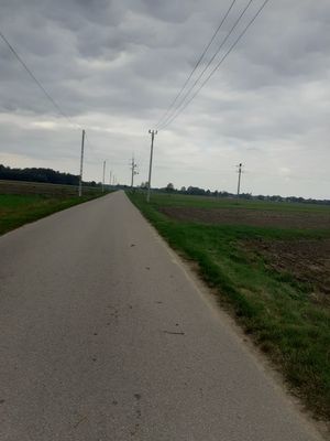 20220929_152012_1jpg [300x400]