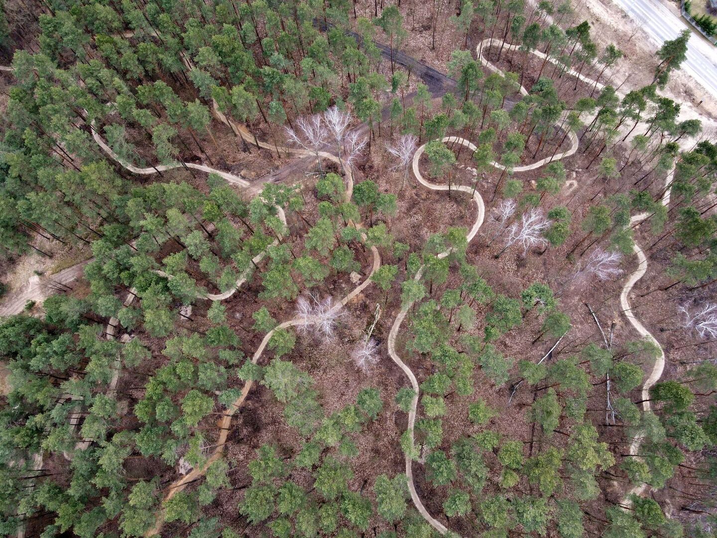 dji_0029_1.jpg [2000x1500]